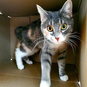 Meet your Posher, Amber